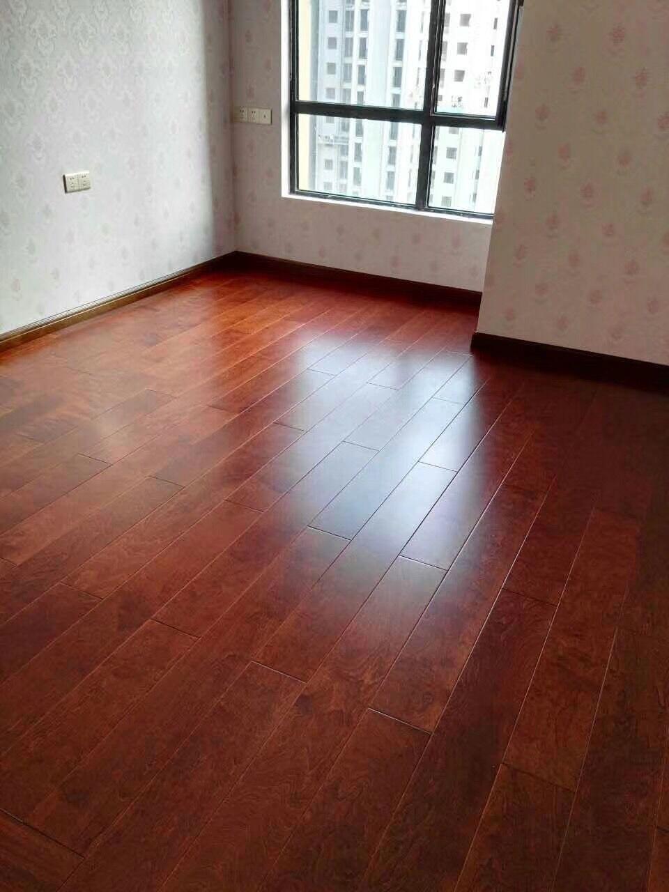 MG7112巴塞罗那番龙眼.jpg