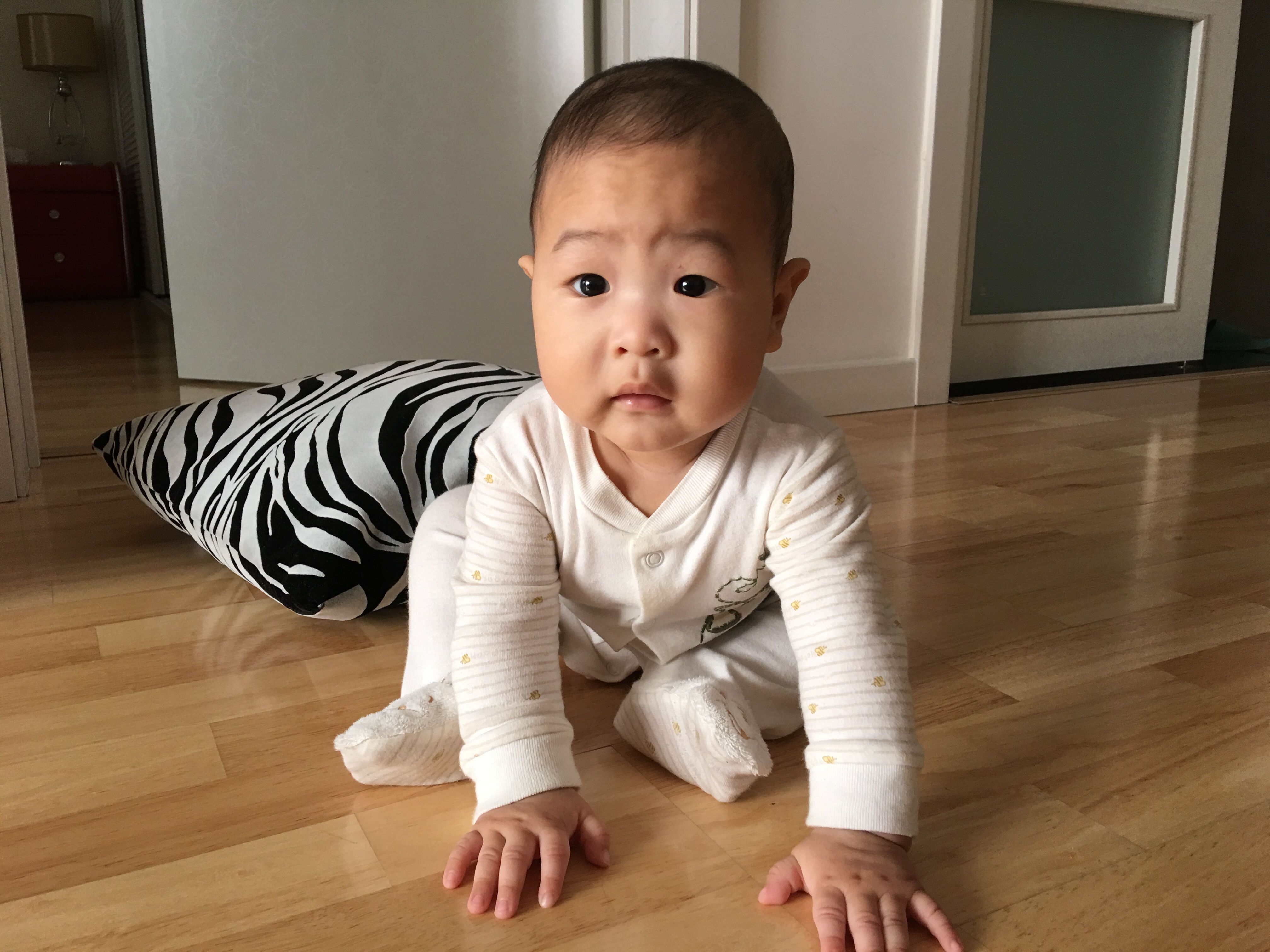 QQ图片20170327112300.jpg